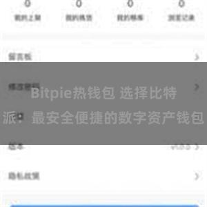 Bitpie热钱包 选择比特派：最安全便捷的数字资产钱包