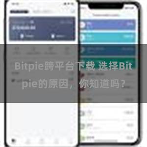 Bitpie跨平台下载 选择Bitpie的原因，你知道吗？