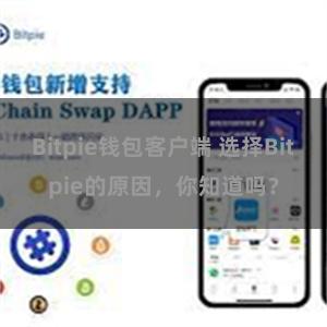 Bitpie钱包客户端 选择Bitpie的原因，你知道吗？