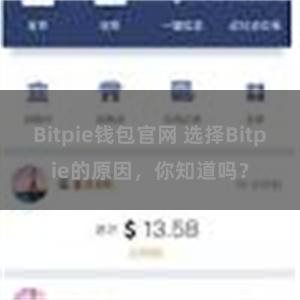 Bitpie钱包官网 选择Bitpie的原因，你知道吗？